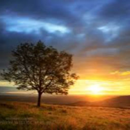 Podcast thumbnail for Morning by Morning Daily Prayer Journey with Tommy Hays
