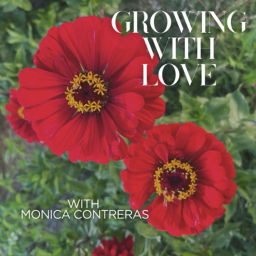 Podcast thumbnail for Growing With Love
