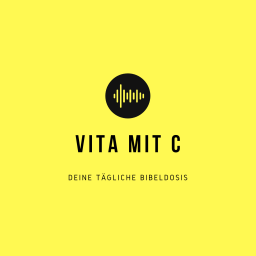 Podcast thumbnail for VITA MIT C