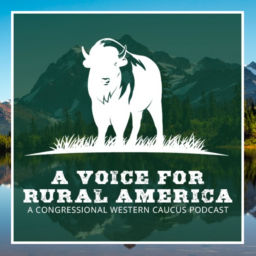 Podcast thumbnail for A Voice for Rural America