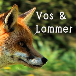 Podcast thumbnail for Vos en Lommer