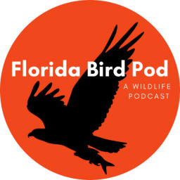 Podcast thumbnail for Florida Bird Pod