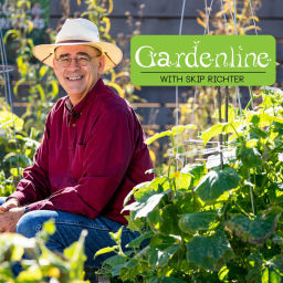 Podcast thumbnail for GardenLine with Skip Richter