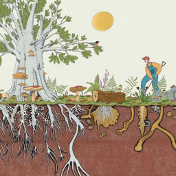 Podcast thumbnail for La cura della terra