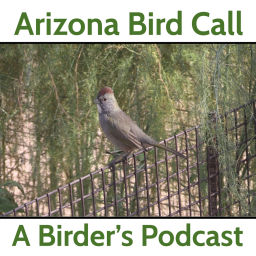 Podcast thumbnail for Arizona Bird Call