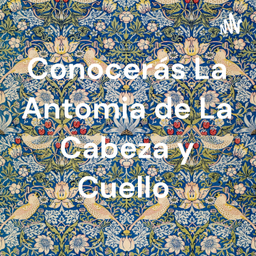 Podcast thumbnail for Conocerás La Antomia de La Cabeza y Cuello