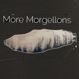 Podcast thumbnail for More Morgellons