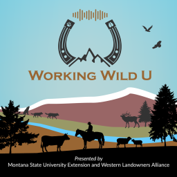Podcast thumbnail for Working Wild U