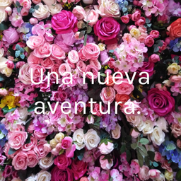 Podcast thumbnail for Una nueva aventura.