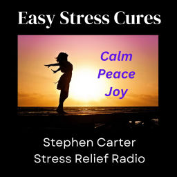 Podcast thumbnail for Easy Stress Cures