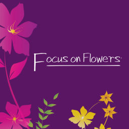 Podcast thumbnail for Focus on Flowers