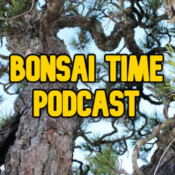Podcast thumbnail for Bonsai Time Podcast
