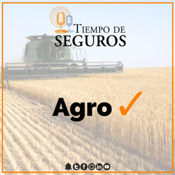 Podcast thumbnail for Tiempo de Seguros -Agro