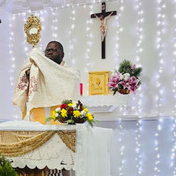 Podcast thumbnail for Homilies And Teachings By Fr Vincent Idanwojo