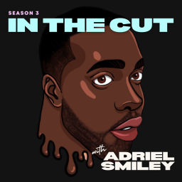Podcast thumbnail for In The Cut