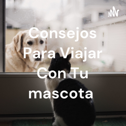 Podcast thumbnail for Consejos Para Viajar Con Tu mascota