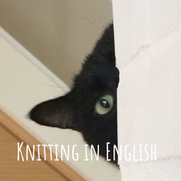 Podcast thumbnail for Knitting in English 編織英文