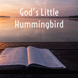 Podcast thumbnail for God’s Little Hummingbird: Bible Time (Messianic )