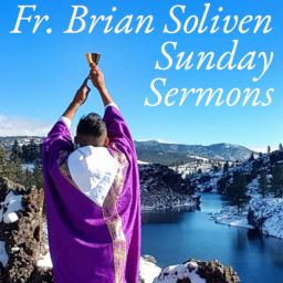 Podcast thumbnail for Fr. Brian Soliven Sunday Sermons