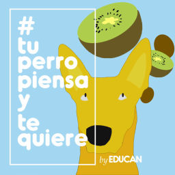 Podcast thumbnail for Tu perro piensa y te quiere