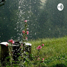 Podcast thumbnail for Limpeza do Nosso Padrão Energético