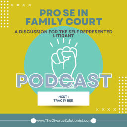 Podcast thumbnail for Family Court Strategy