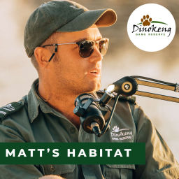Podcast thumbnail for Dinokeng Game Reserve