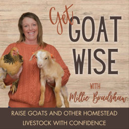 Podcast thumbnail for Get Goat Wise | Homestead Livestock, Raising Goats, Chickens, Off-grid living