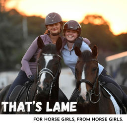 Podcast thumbnail for That's Lame