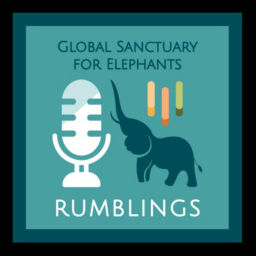 Podcast thumbnail for Global Rumblings Podcast