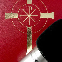 Podcast thumbnail for DeaconJoe's Homilies