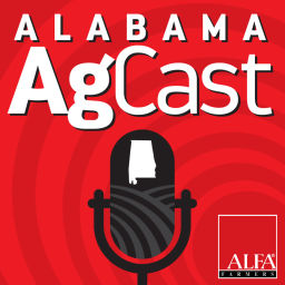 Podcast thumbnail for Alabama AgCast