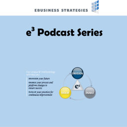 Podcast thumbnail for EBUSINESS STRATEGIES e3