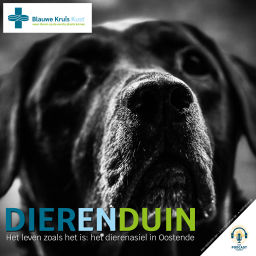Podcast thumbnail for Dierenduin