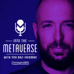 Podcast thumbnail for Into the Metaverse