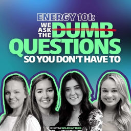 Podcast thumbnail for Energy 101: We Ask The Dumb Questions So You Don't Have To