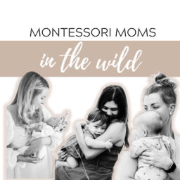 Podcast thumbnail for Montessori Moms in the Wild
