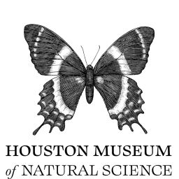 Podcast thumbnail for HMNS Beyond Bones Podcast