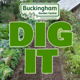 Podcast thumbnail for Dig It - Discussions on Gardening Topics