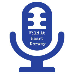 Podcast thumbnail for Wild at Heart Norway