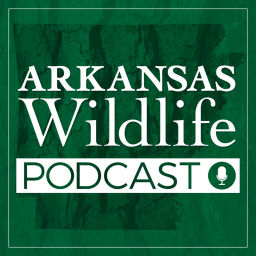 Podcast thumbnail for Arkansas Wildlife