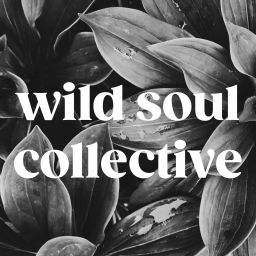 Podcast thumbnail for Wild Soul Collective