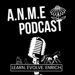 Podcast thumbnail for A.N.M.E Podcast