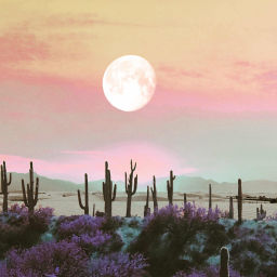 Podcast thumbnail for Poppy Moon Healing Arts