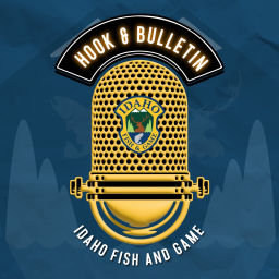Podcast thumbnail for Hook & Bulletin