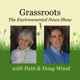 Podcast thumbnail for Grassroots Podcast
