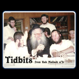 Podcast thumbnail for Reb Meilach Zweibel a"h