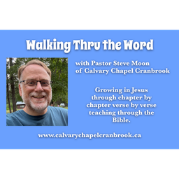 Podcast thumbnail for Walking thru the Word