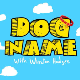 Podcast thumbnail for Dog Name