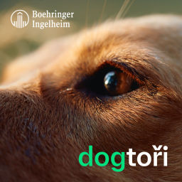 Podcast thumbnail for Dogtoři - pro kočky, koně a psy